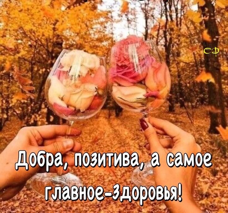дебр а позитив аое гЁвное здоровтаі