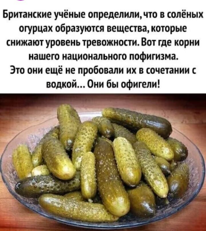 Британские учёные определили что в солёных огурцах образуются вещества которые снижают уровень тревожности Вот где корни нашего национального пофигизма Это они ещё не пробовали их в сочетании с водкой Они бы офигели