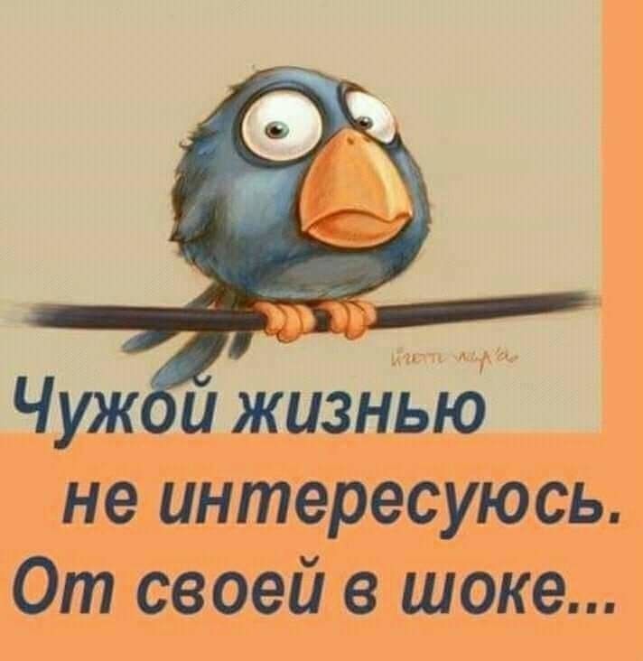 __ Чуж ижизнью не интересуюсь От своей в шоке