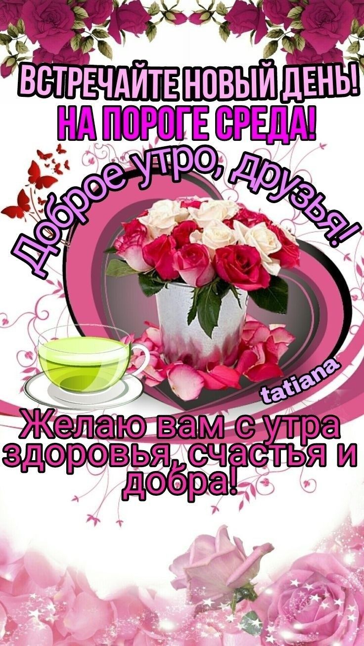 овья,счестья и н б 6