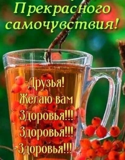 Прекрасёбёо я исамочувствия адруэьп Ё телёю вам Здоровья ЁЮдоровья доровыі
