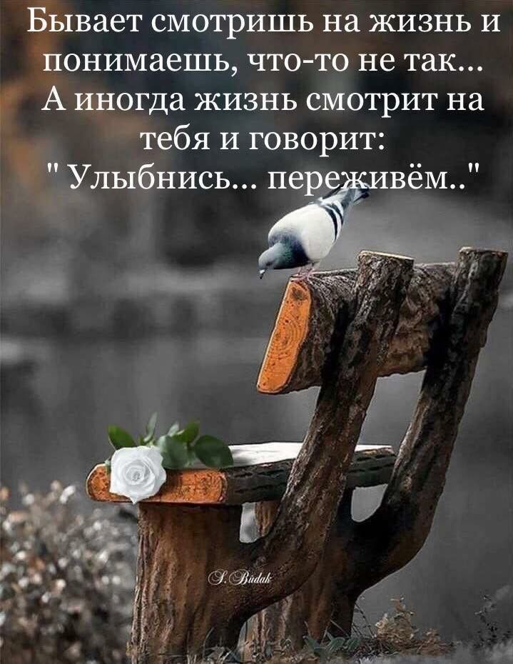 Бывает смотришь на жизнь И понимаешь что то не так 1 А иногда жизнь смотрит на тебя и говорит Улыбнись пере