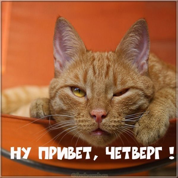 Ну пибп' четберг !