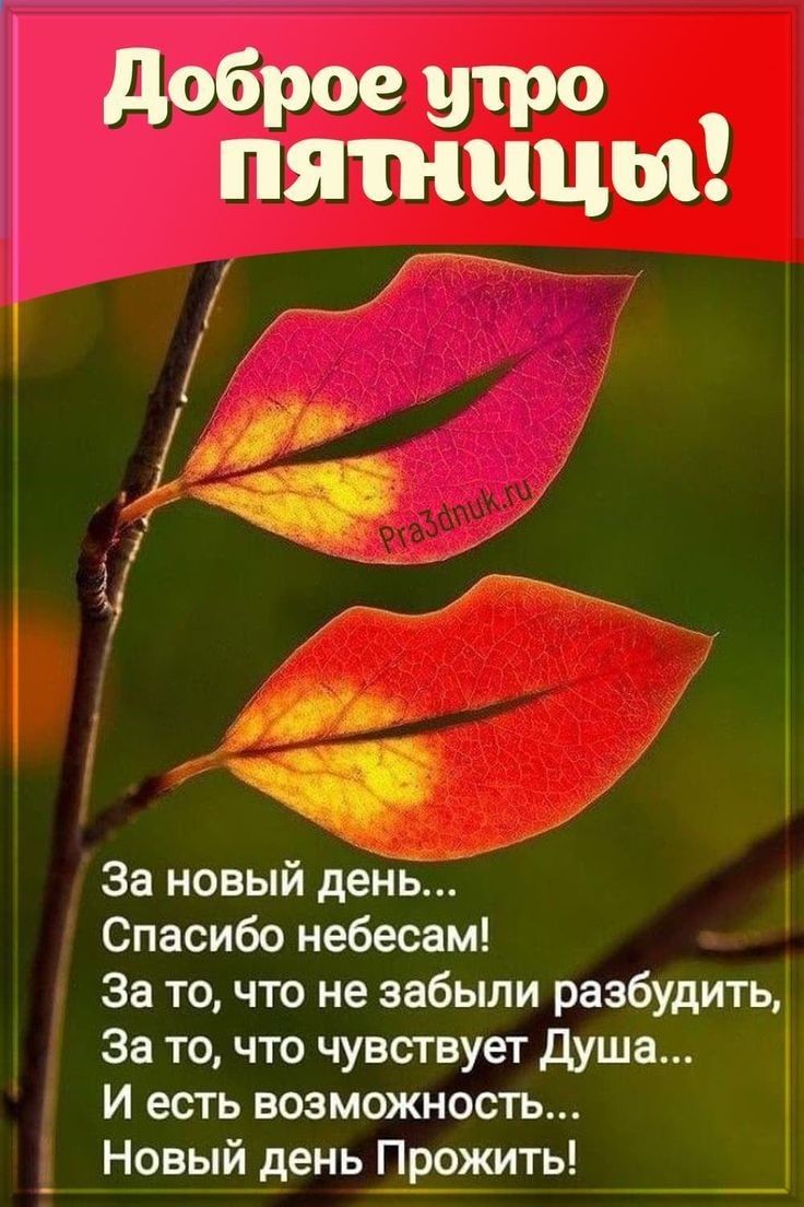 _ Новый день доброе утро пятницы За новыи день Спасибо небесам За то что не забыли разбудить За то что чувствует душа И есть возможность
