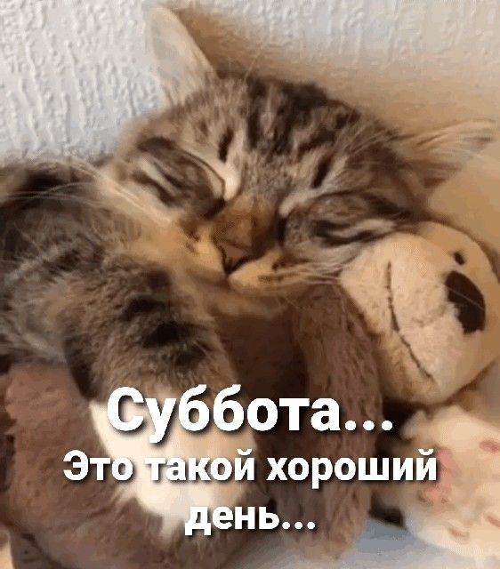 бота Э хороший нь 1