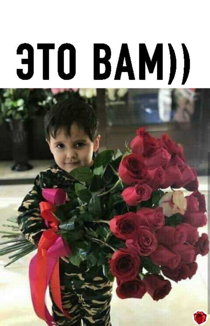 _тзо вдмп О