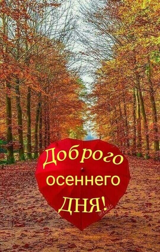 Доброгад осеннего дня