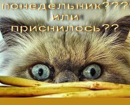 пм ашгшгшущнддді _ иш им 1 А