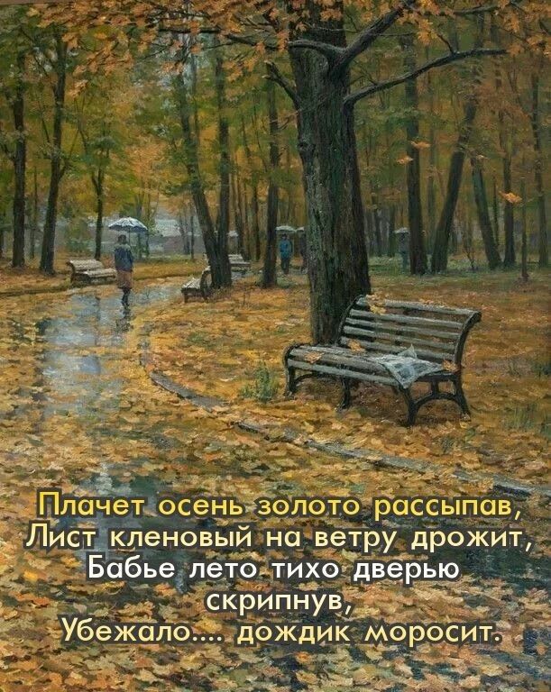 А ё ль еаред а 'лачетдосень зол т клено! Са л ;б!пбьел'е ко ё в ы ж