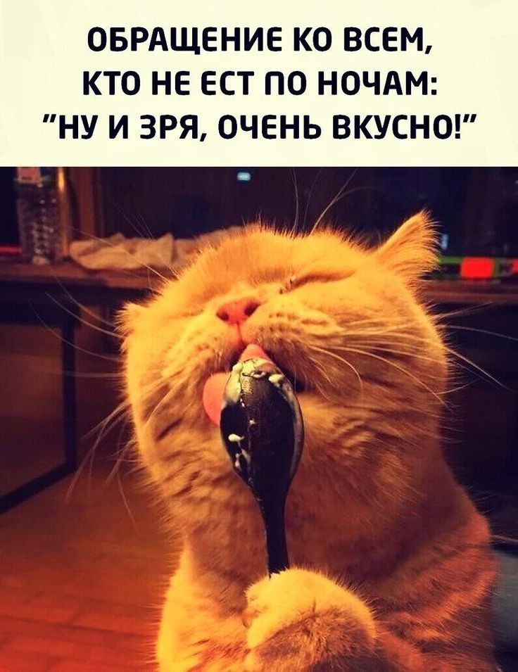ОБРАЩЕНИЕ КО ВСЕМ КТО НЕ ЕСТ ПО НОЧАМ НУ И 3РЯ ОЧЕНЬ ВКУСНО