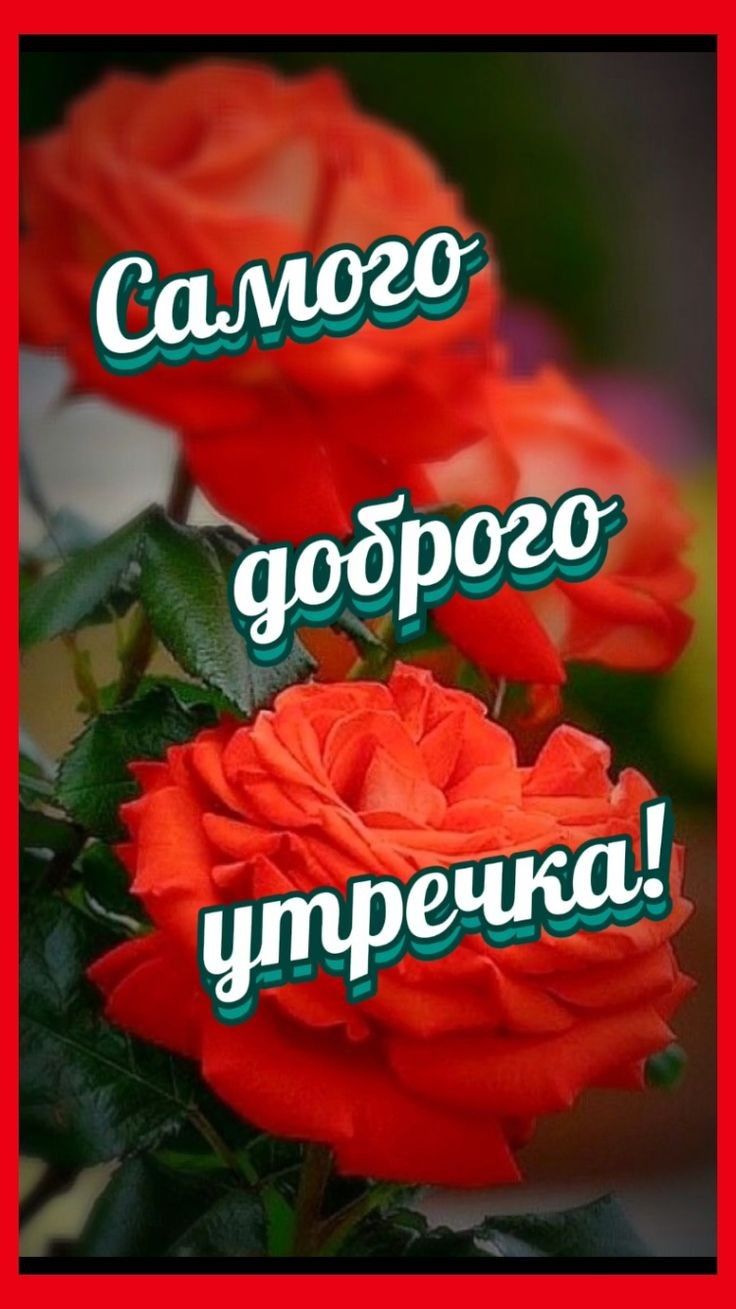«