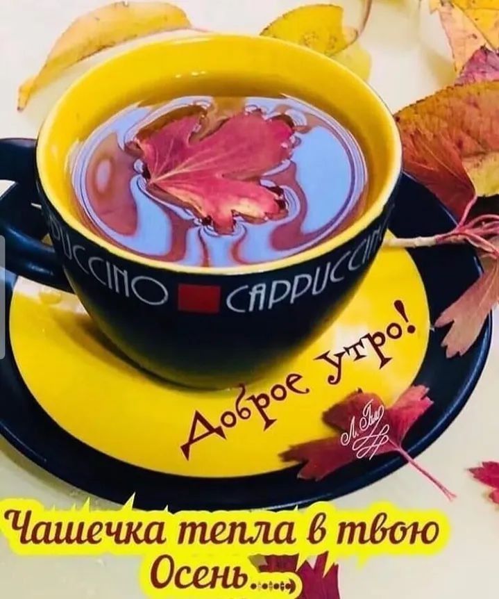 Чашечка тепла 6 твою осень ф