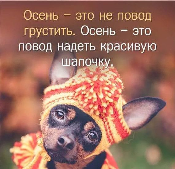 Осень это не повод грустить Осень это повод надеть красивую