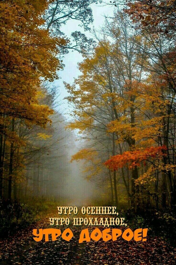 Етгё ОСЕННЕЕ Етго ПРО_ХАААНОЕ