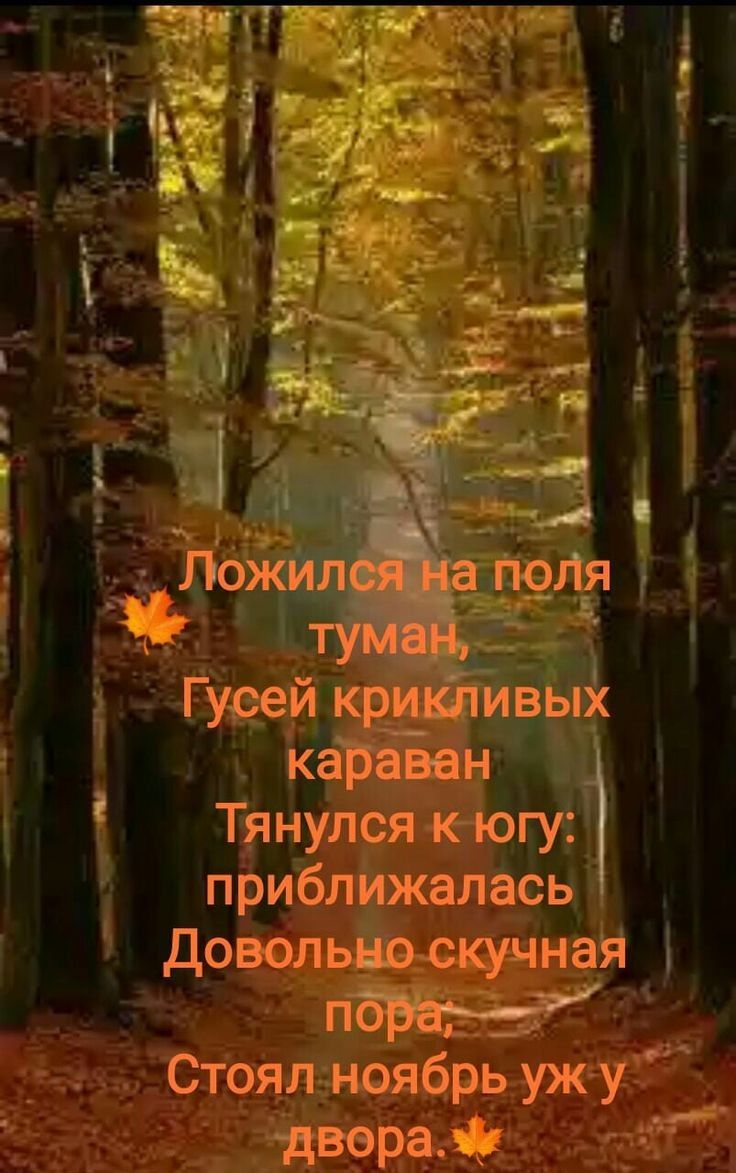 Ёп и в __д Л _ _ _ьг _ А