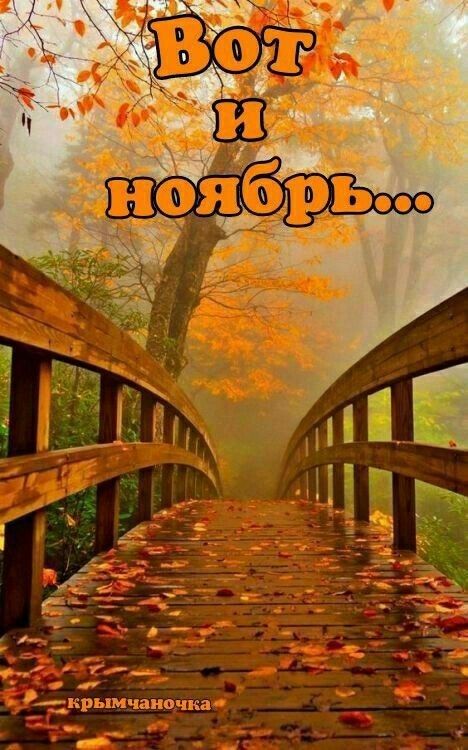 _ ___ срымчаноцка