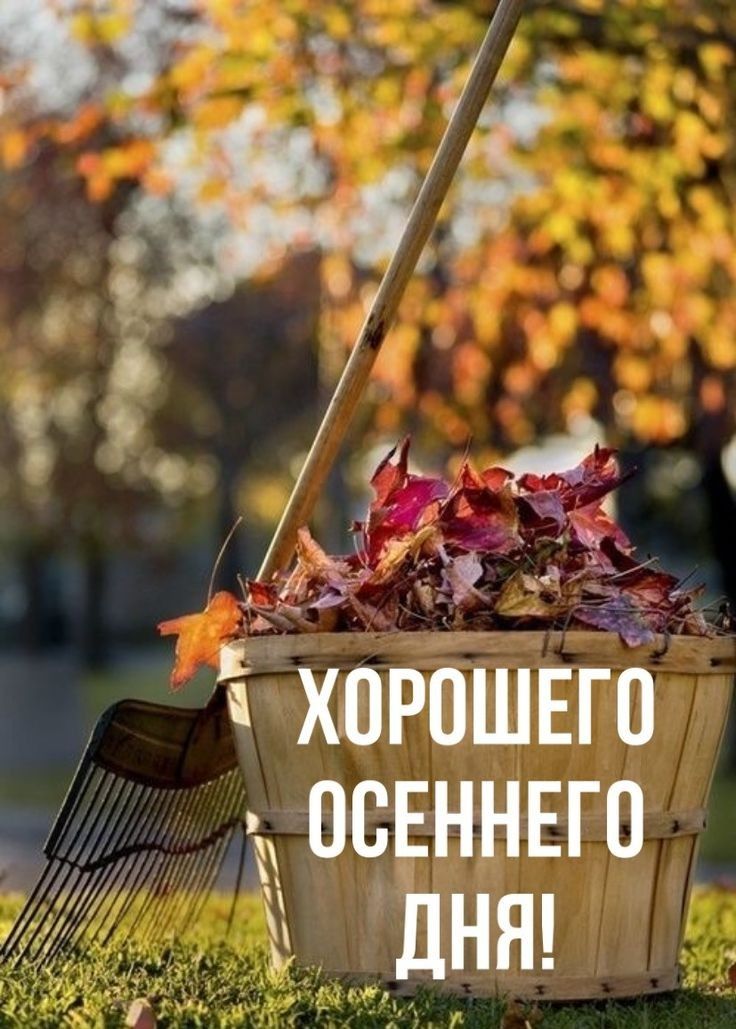 хорошвго осЕннвго эдцдня