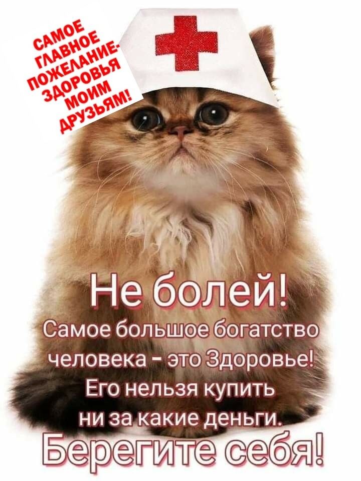 человека этоЗдэровьеЪ Его нельзя купить ни за какие деньги Бегрэсзгттса