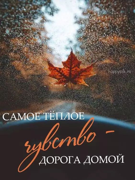 ай пд  дорога домой