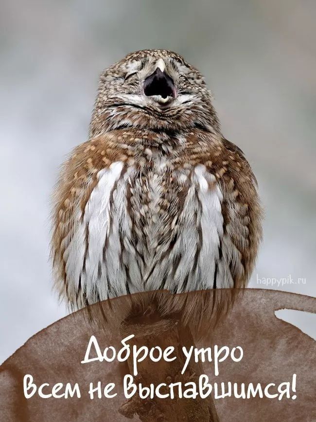 дгогхтго Эсемгйе Быспаіяшцмся