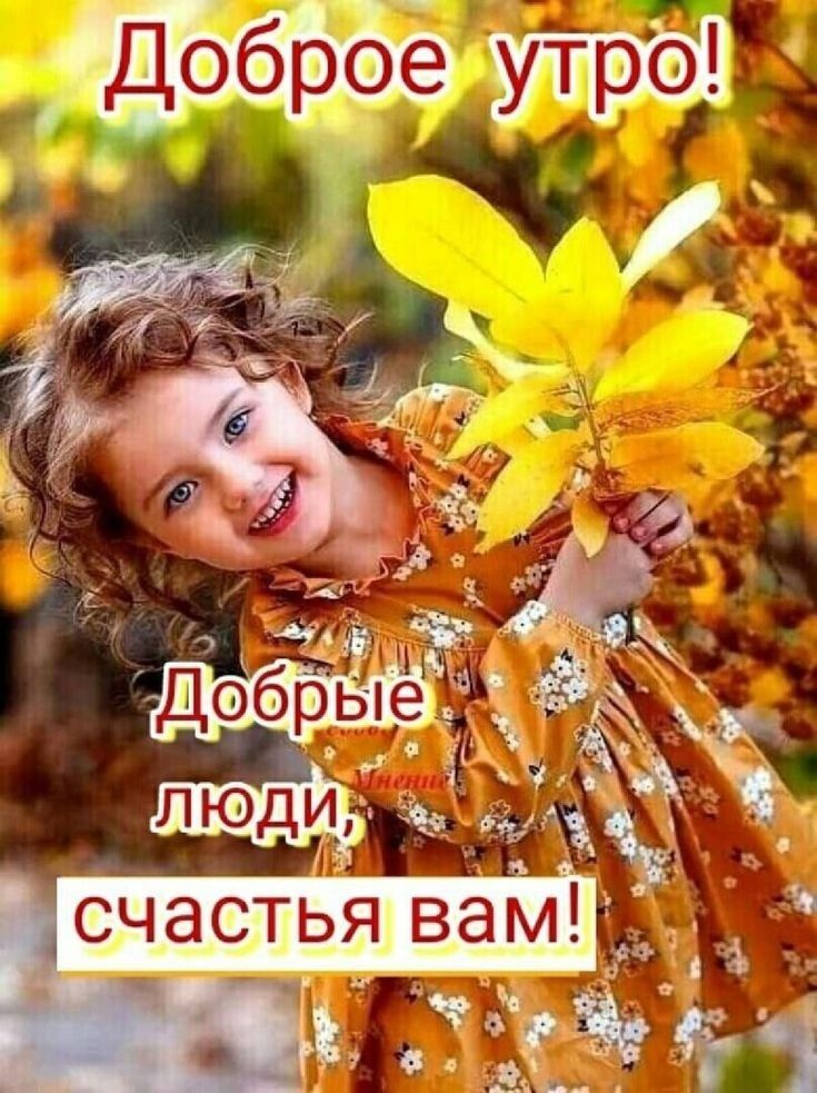 _ утро