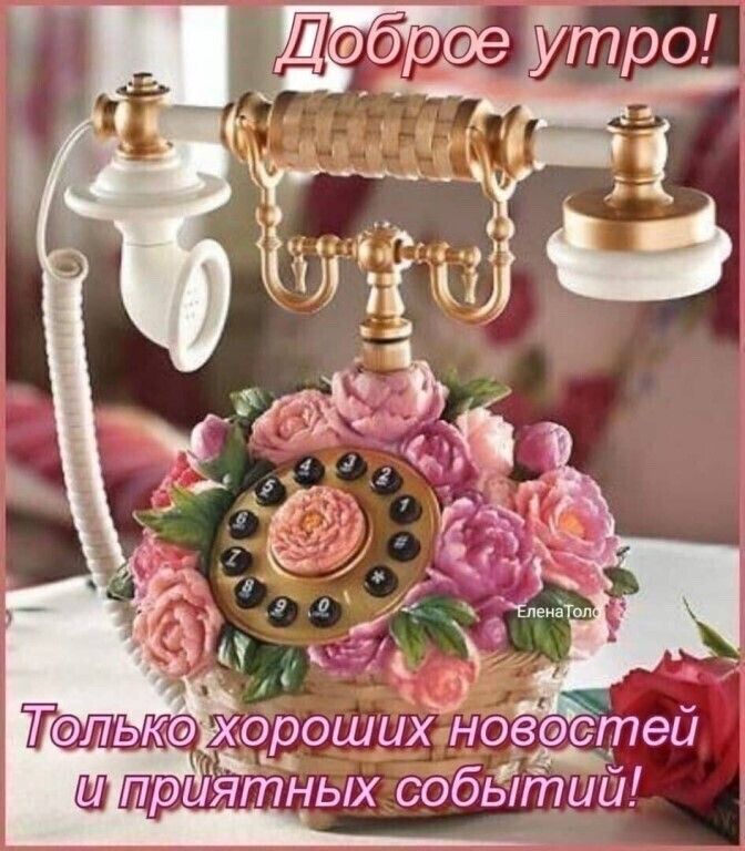 олькохороших новэстей ш приятных событии