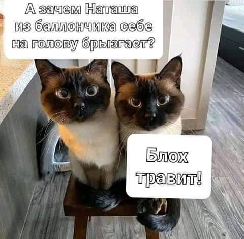 А ш ё1 ищшша ща ЫЁЛ