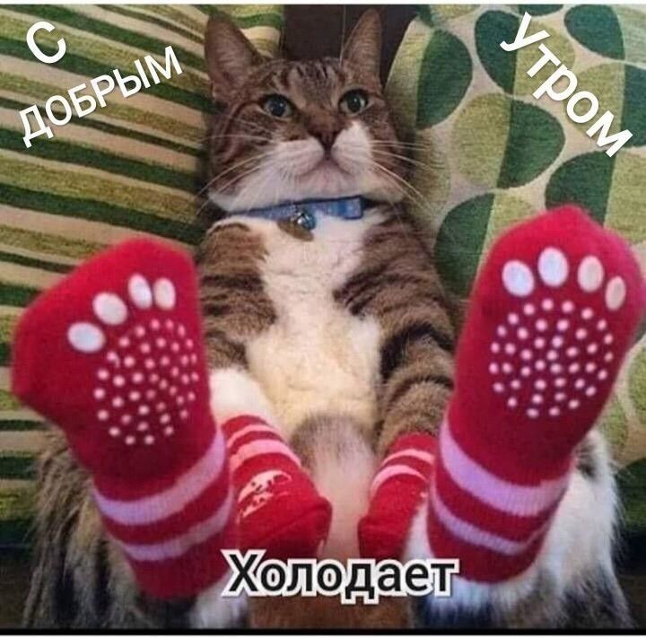 Н холодает