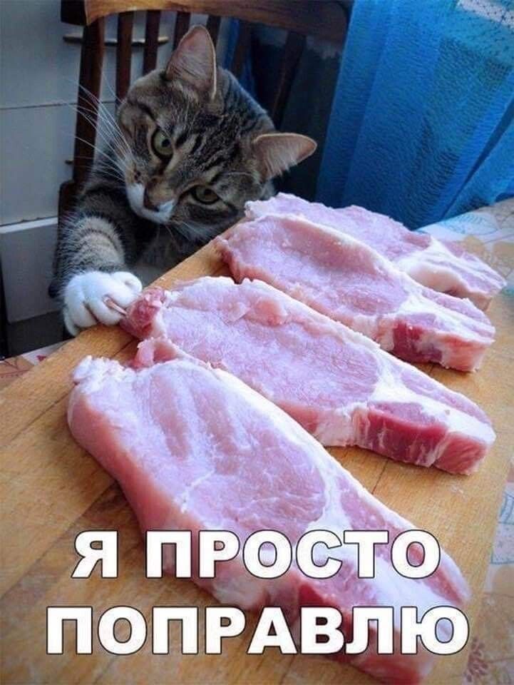 ПОПРАВЬЮ