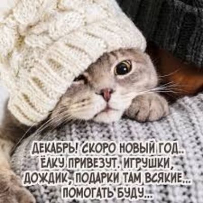 дщыы скогъ новыи год