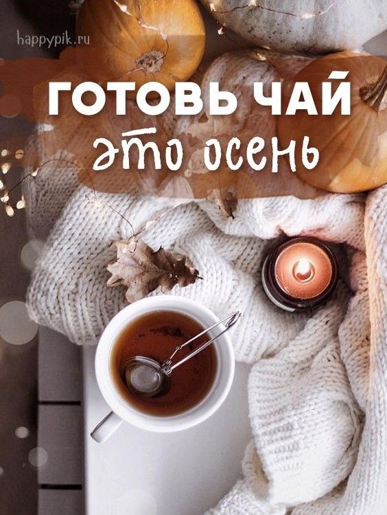 готЬЕЬТЧАй 1 этоеасень _ _ іі