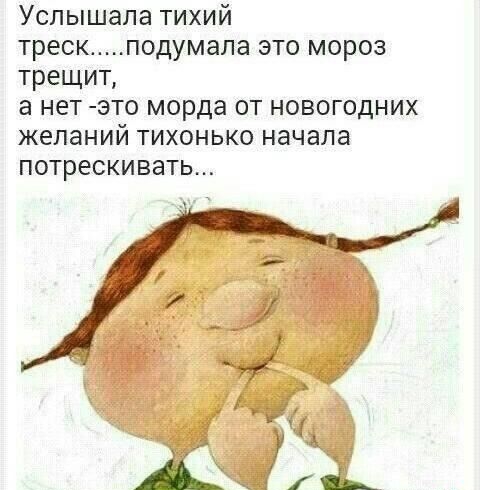 Услышала тихий треск подумала это мороз трещит а нет это морда от новогодних желаний тихонько начала потрескивать