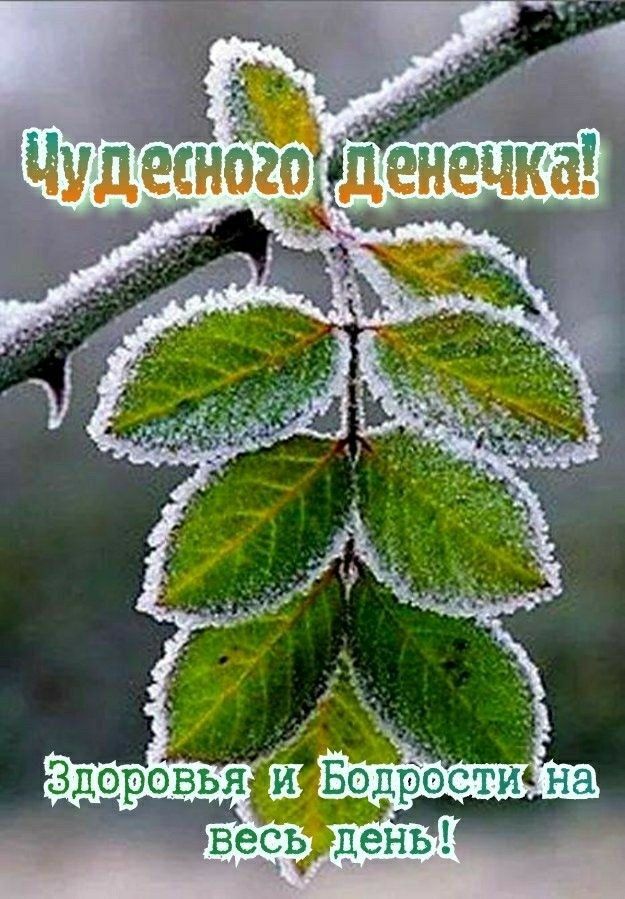 ёёудёёнаг попочка Здоровья прости на С Бе ДЁНЬ