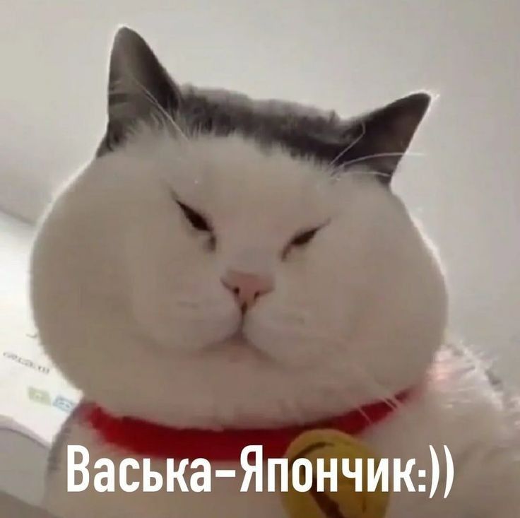 Васька Япончикд