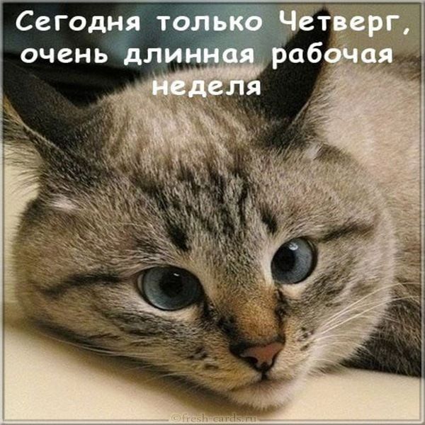 Т сегод очень