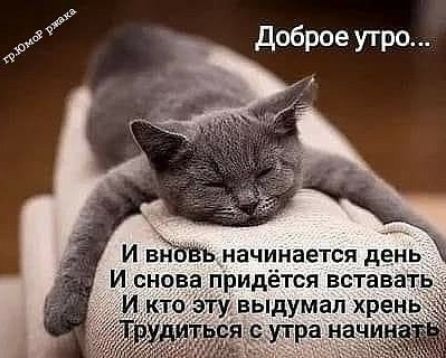 95 доброе утро И вЁЪВъ начинается день И снова придётся встанет