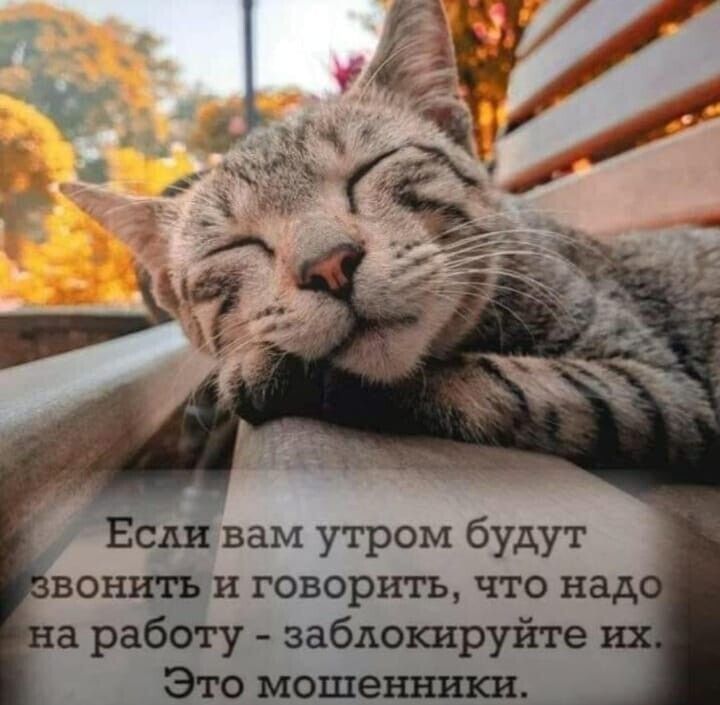 с а вам утром будут вонщщди говорить что над рабдЪу заблошруйте это