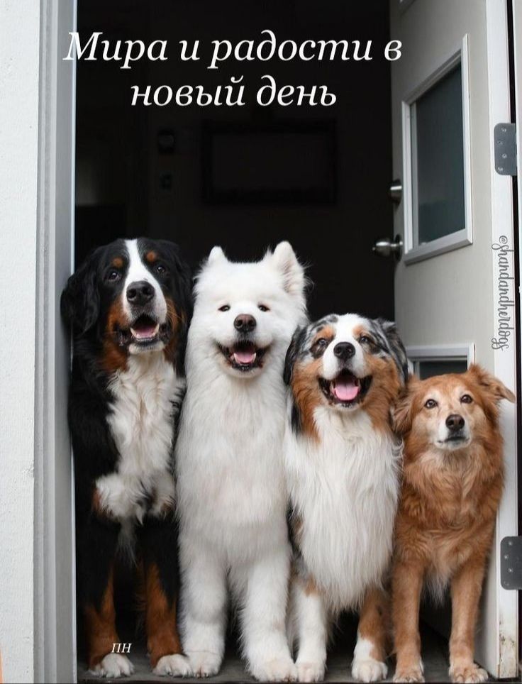 ира и радости в новый день