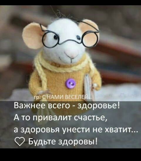 Важнее ВСЕГО ЗДОРОВЬЕ А ТО ПРИВВЛИТ счастье а здоровья УНЕСТИ не ХВЭТИТ Будьте здоровы