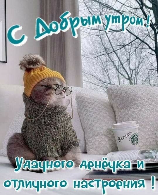 ЁА д ОЗдонёчкэЁ отличного цэТгтРоі ёпия