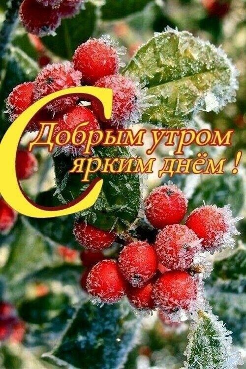 _ Добры трФМ