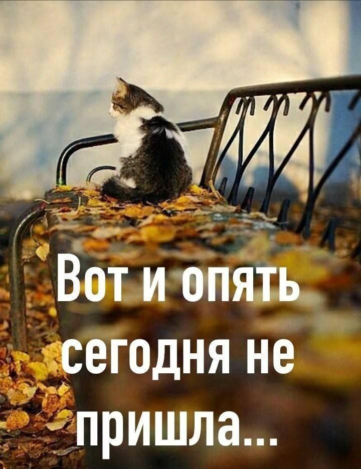 сегодня не ухе пришла