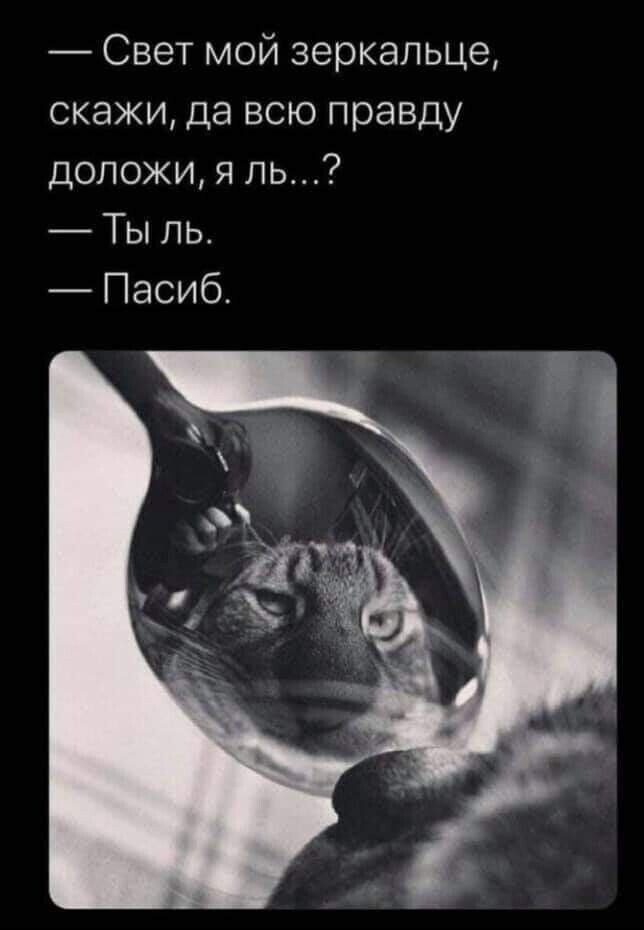 Свет мой зеркальце скажи да всю правду доложи я ль Ты ль Пасиб