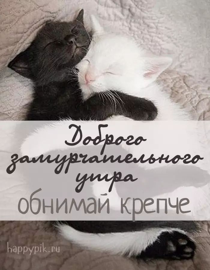 Эдди обнимай к епче Юритім