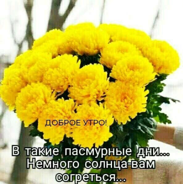епасмурНые дни ого ёолн НЁа вам
