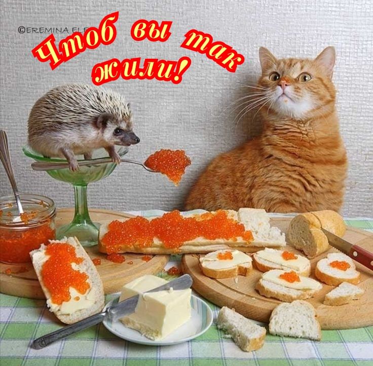 ЕКЕ МА