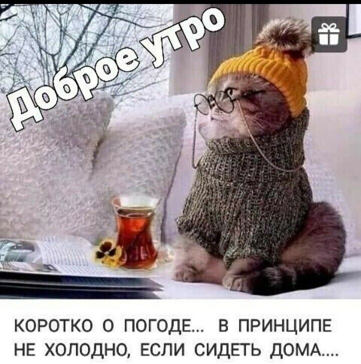 КОРОТКО О ПОГОДЕ В ПРИНЦИПЕ НЕ ХОЛОДНО ЕСЛИ СИДЕТЬ ДОМА