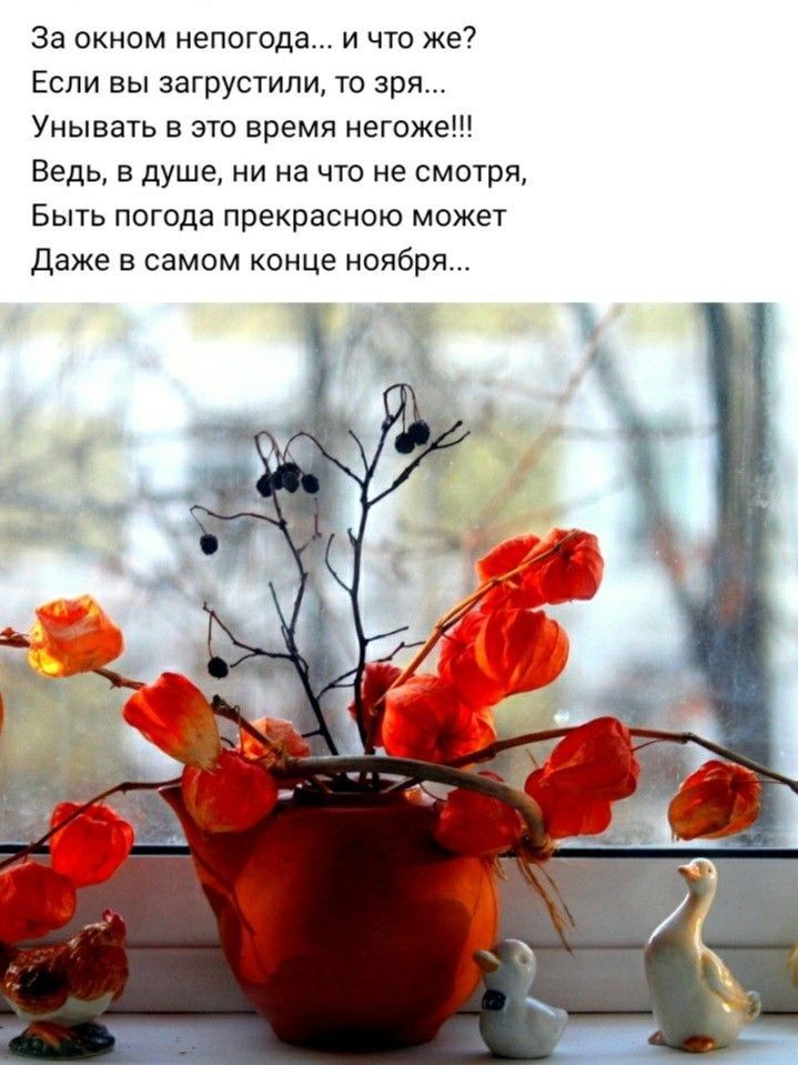За окном непогода и что же Если вы загрустипи то зря Унывать в это время негоже Ведь в душе ни на что не смотря Быть погода прекрасною может Даже в самом конце ноября