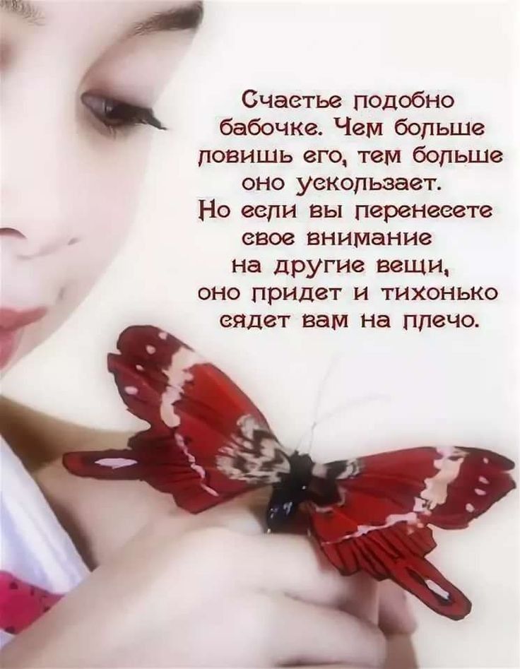 Счастье подобно бабочка Чем больше ловишь его тем больше оно уекользает Но гели вы перенеегте свое внимание на другие наши оно придет и тихонько еядет вам на плечо