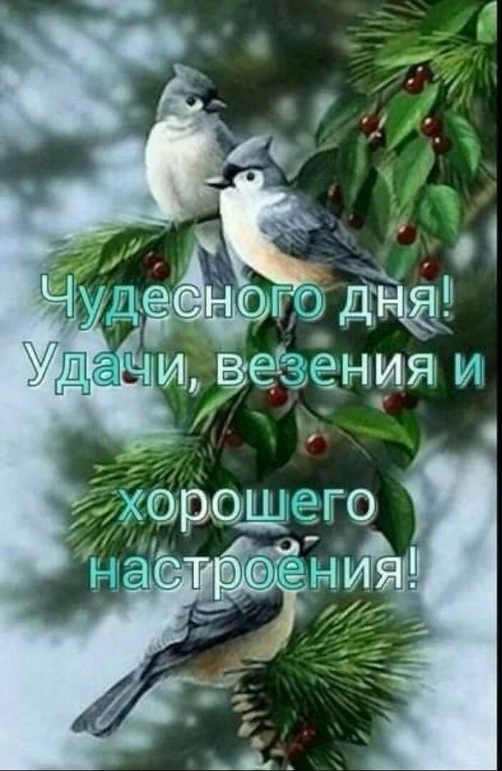 ршзг НИЁ